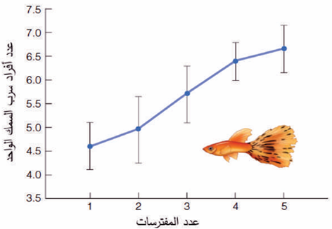 دراسة سلوك أسماك الجوبي النهرية استجابة لوجود المفترسات